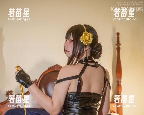 KANEKO咔喵 KANEKO咔喵大厨的拿手绝活:B本明日奈套图下载,来一盘!