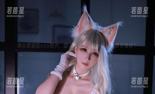 黑白御猫 黑白御猫的cos图片,甜心的化身,每一张都好像在说话?